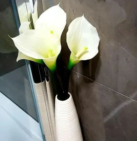 Luxury Sweet Dreams Apartment *